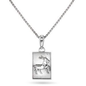 Hovedbilde Stjernetegn i s&oslash;lv, v&aelig;ren