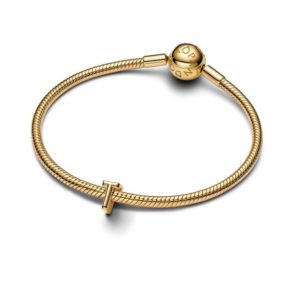 Letter T 14k gold-plated charm