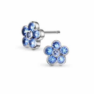 Hovedbilde &Oslash;repynt blomst, bl&aring;