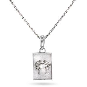 Hovedbilde Stjernetegn i s&oslash;lv, krepsen