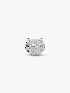 Hovedbilde Textured Owl Mini Charm